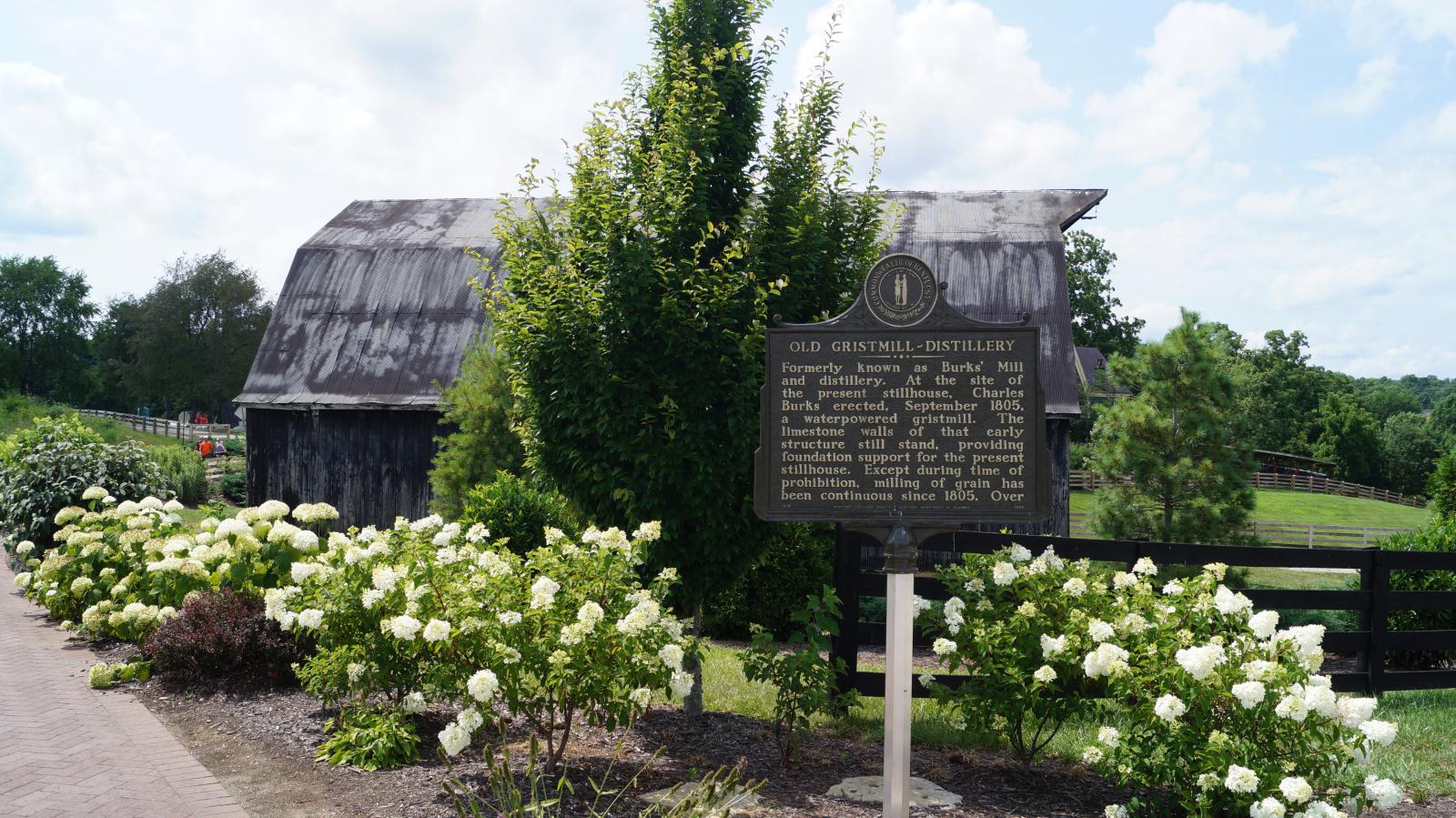 Name:  DSC07555.jpg
Views: 945
Size:  302.0 KB