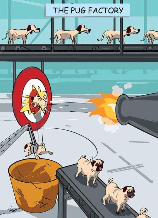 Name:  FB_IMG_1629589350031.jpg
Views: 604
Size:  48.5 KB