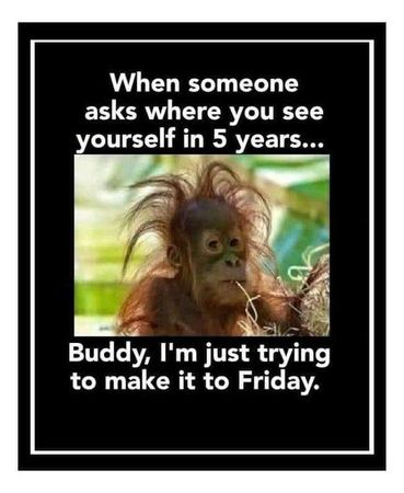 Name:  Friday.jpeg
Views: 610
Size:  26.9 KB