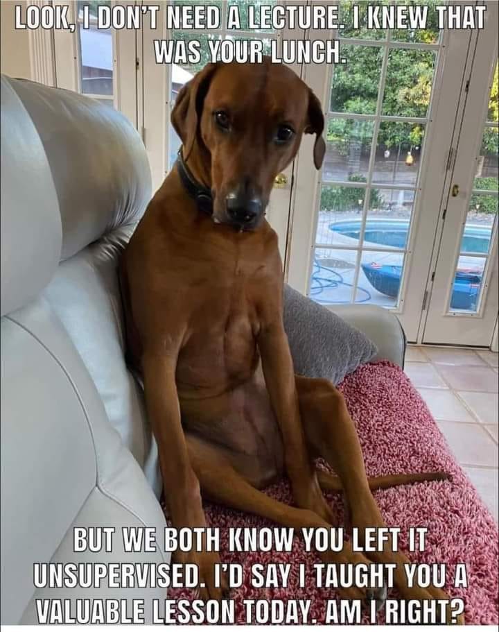 Name:  lunch.jpg
Views: 945
Size:  92.3 KB