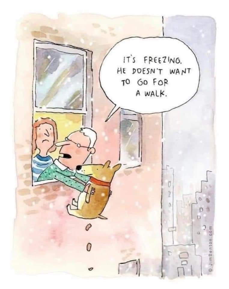 Name:  FB_IMG_1641740251266.jpg
Views: 951
Size:  45.2 KB