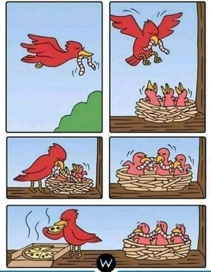 Name:  FB_IMG_1640699211236.jpg
Views: 961
Size:  62.8 KB