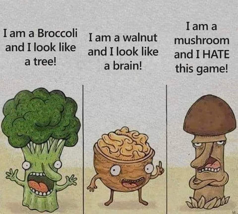 Name:  FB_IMG_1640115674276.jpg
Views: 961
Size:  90.8 KB