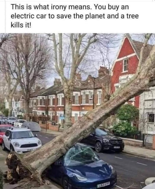 Name:  EV-Tree.jpg
Views: 1509
Size:  67.7 KB