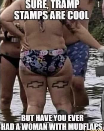 Name:  flaps.jpg
Views: 1130
Size:  27.4 KB