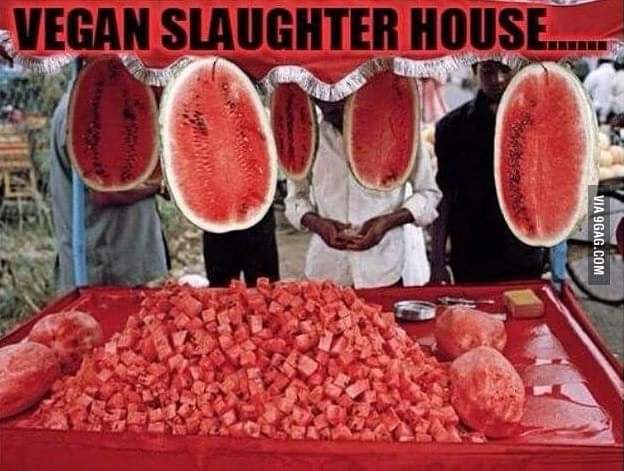 Name:  FB_IMG_1662897169174.jpg
Views: 1789
Size:  46.1 KB