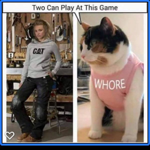 Name:  cat-whore.jpg
Views: 491
Size:  48.8 KB