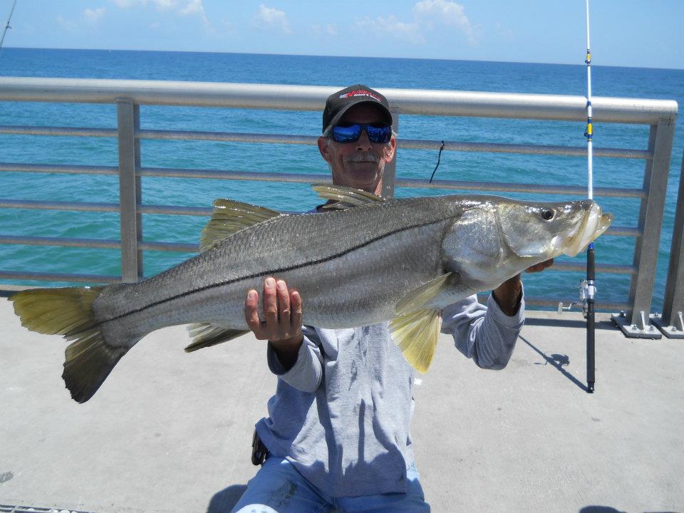Name:  bigsnook.jpg
Views: 157
Size:  93.2 KB