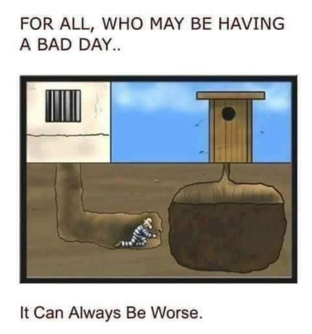 Name:  Screenshot_20230708_071212_Instagram.jpg
Views: 548
Size:  318.5 KB