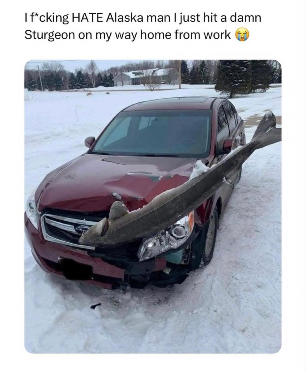 Name:  Screenshot_20230707_124316_Instagram.jpg
Views: 561
Size:  114.0 KB