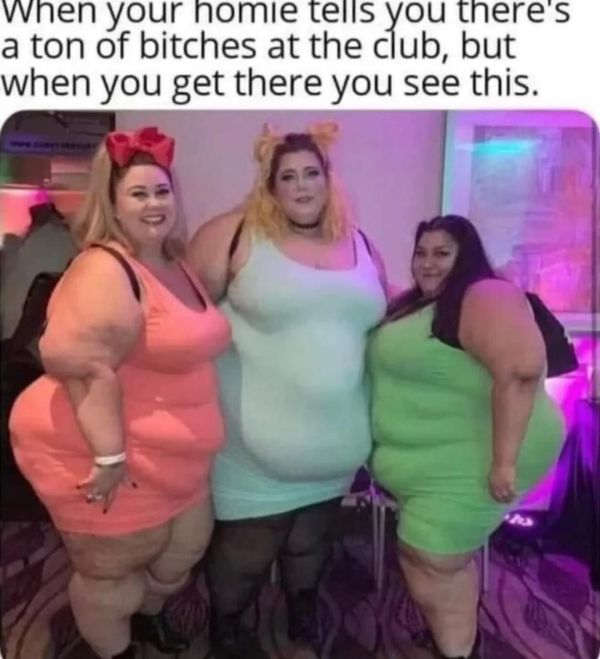 Name:  ton of bitches.jpg
Views: 474
Size:  50.2 KB