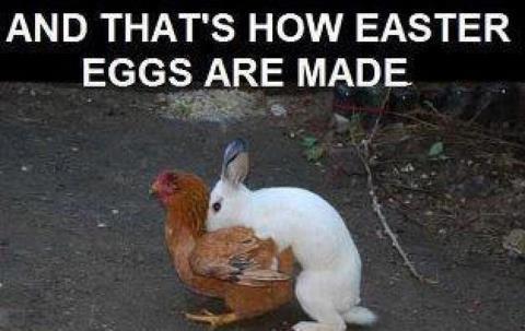 Name:  easter eggs.jpg
Views: 378
Size:  25.7 KB