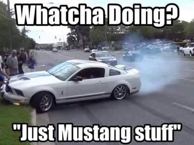 Name:  mustang stuff.jpg
Views: 208
Size:  45.3 KB