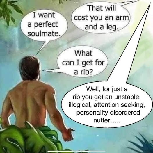 Name:  adams rib.jpg
Views: 646
Size:  45.7 KB