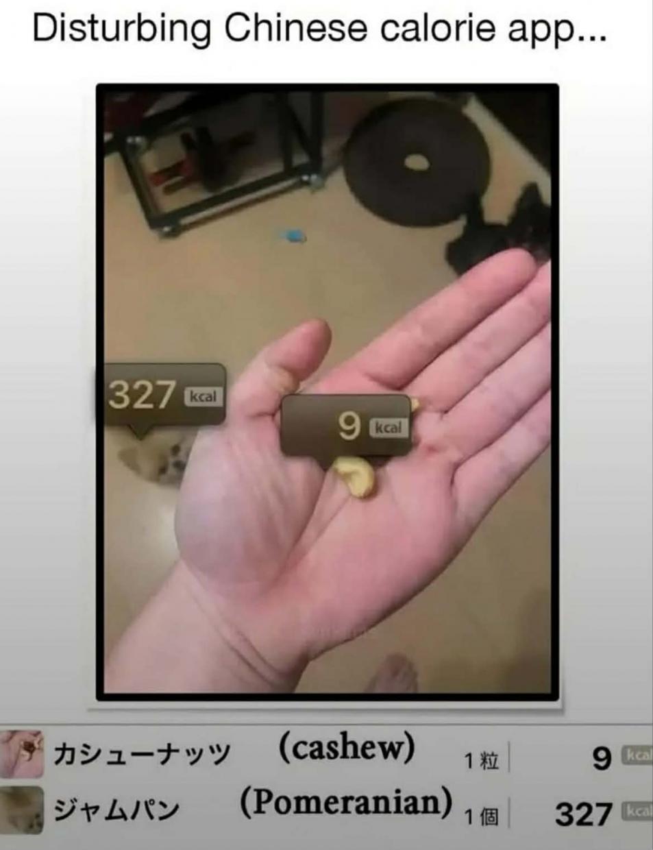 Name:  att.cVBASYMhq8mOsJeVaibcv_ZzU9ePp249C0Sce0yCwSY.jpg
Views: 387
Size:  76.3 KB