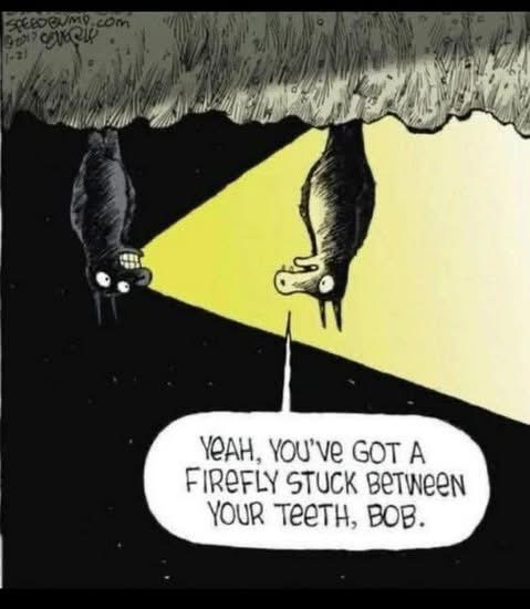 Name:  IMG_0578.jpeg
Views: 388
Size:  55.3 KB