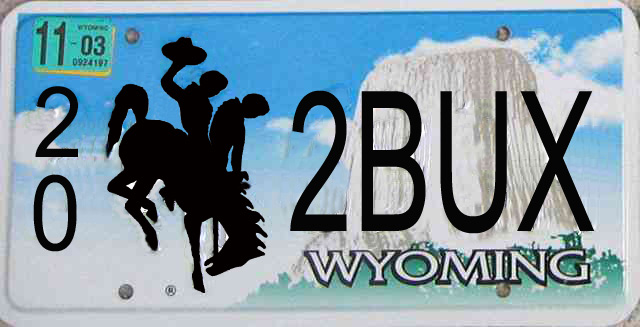 Name:  Wyomingvanityplatecopy.jpg
Views: 1080
Size:  88.2 KB