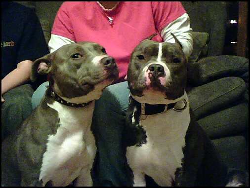 Name:  mag and queenie.jpg
Views: 560
Size:  24.1 KB