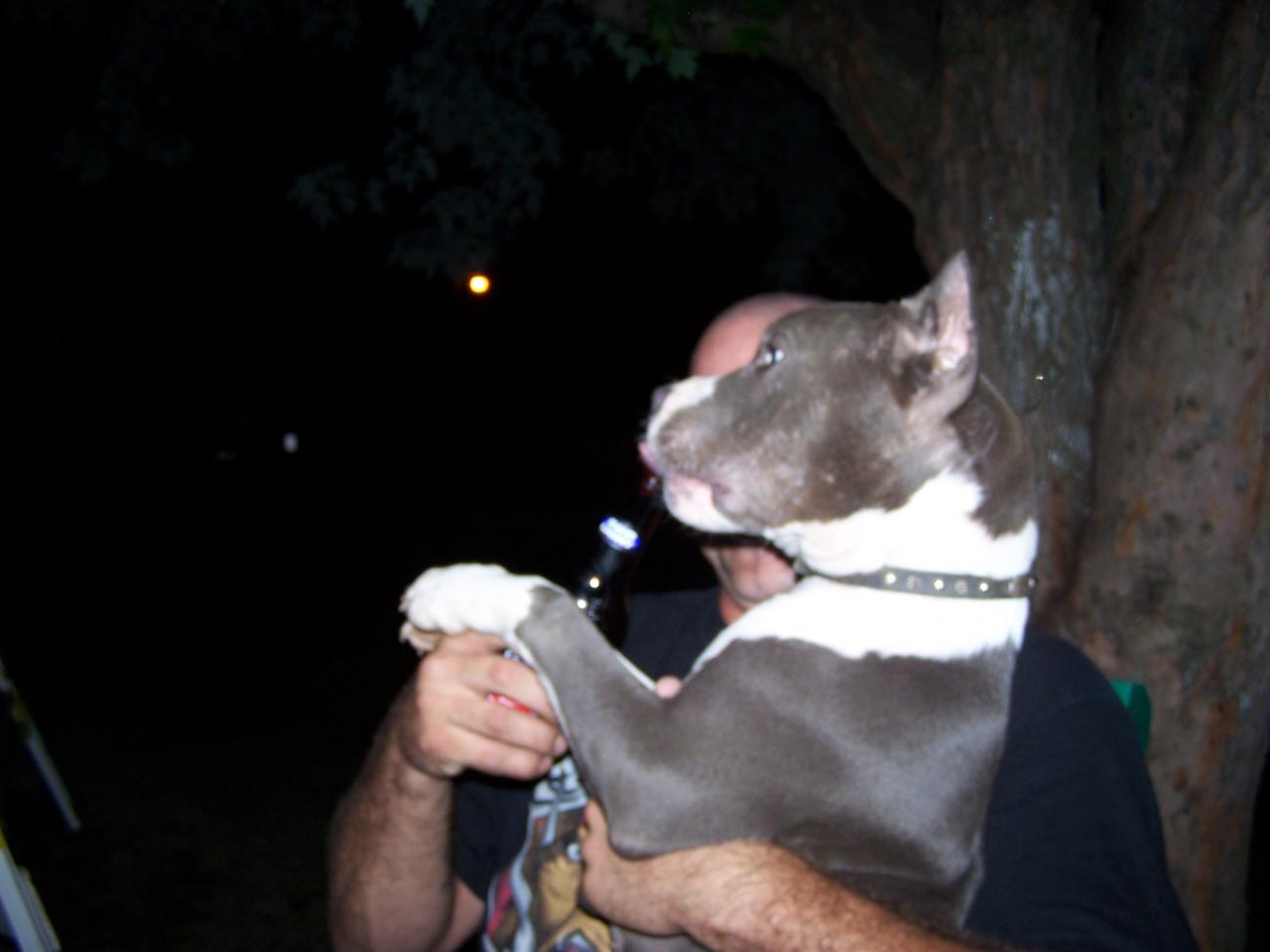 Name:  queenie and magnum 015.jpg
Views: 548
Size:  66.2 KB