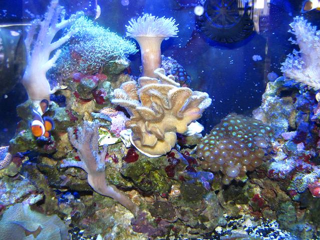 Name:  resized.jpg
Views: 1039
Size:  101.8 KB