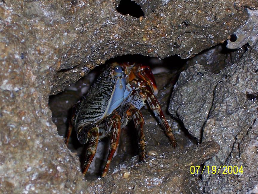 Name:  Aruba Vacation 089 small.JPG
Views: 428
Size:  140.3 KB