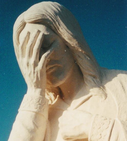 Name:  JesusFacepalm.jpg
Views: 175
Size:  36.7 KB