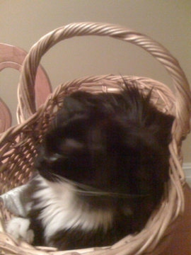 Name:  IMG_0057.jpg
Views: 918
Size:  53.2 KB