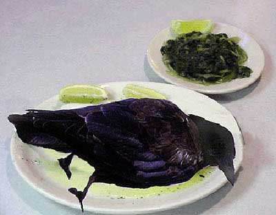 Name:  Crow+2.jpg
Views: 419
Size:  16.4 KB