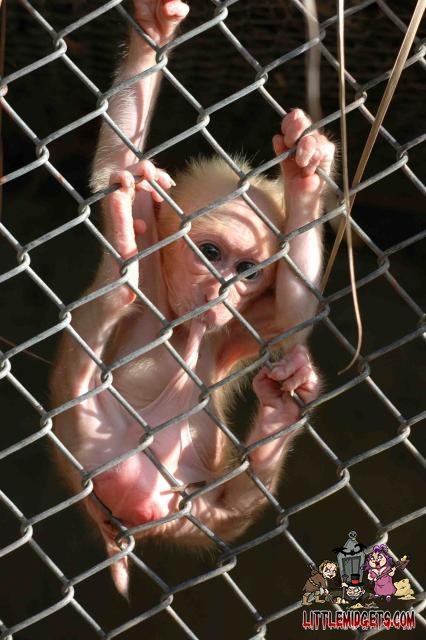 Name:  ohno.jpg
Views: 925
Size:  57.1 KB