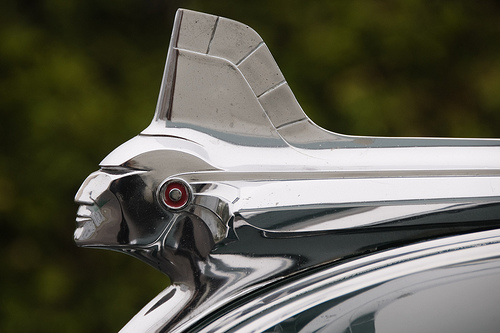 Name:  3652169739_85de4ba95d.jpg
Views: 855
Size:  72.7 KB