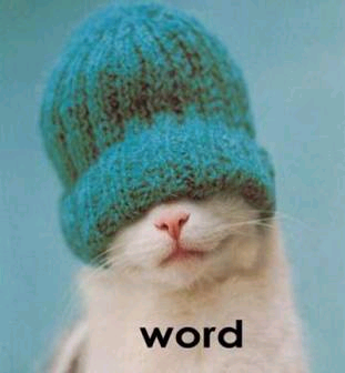 Name:  WordCat.bmp
Views: 389
Size:  204.8 KB