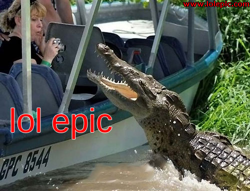 Name:  alligator_boat_lol_epic.jpg
Views: 809
Size:  63.8 KB