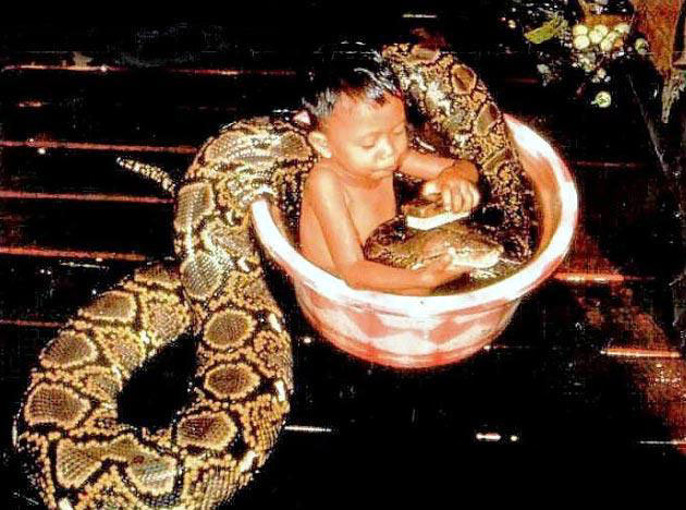 Name:  infant_bathes_with_snake.jpg
Views: 719
Size:  74.7 KB