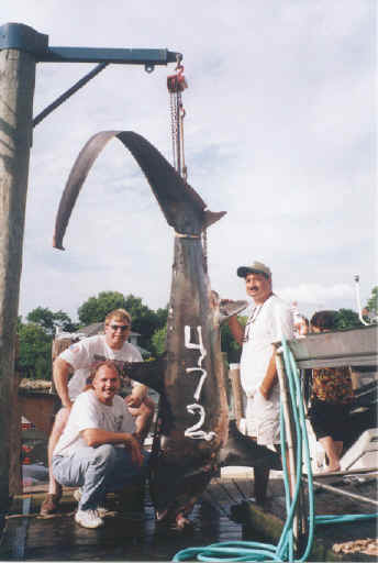 Name:  472.jpg
Views: 215
Size:  18.6 KB