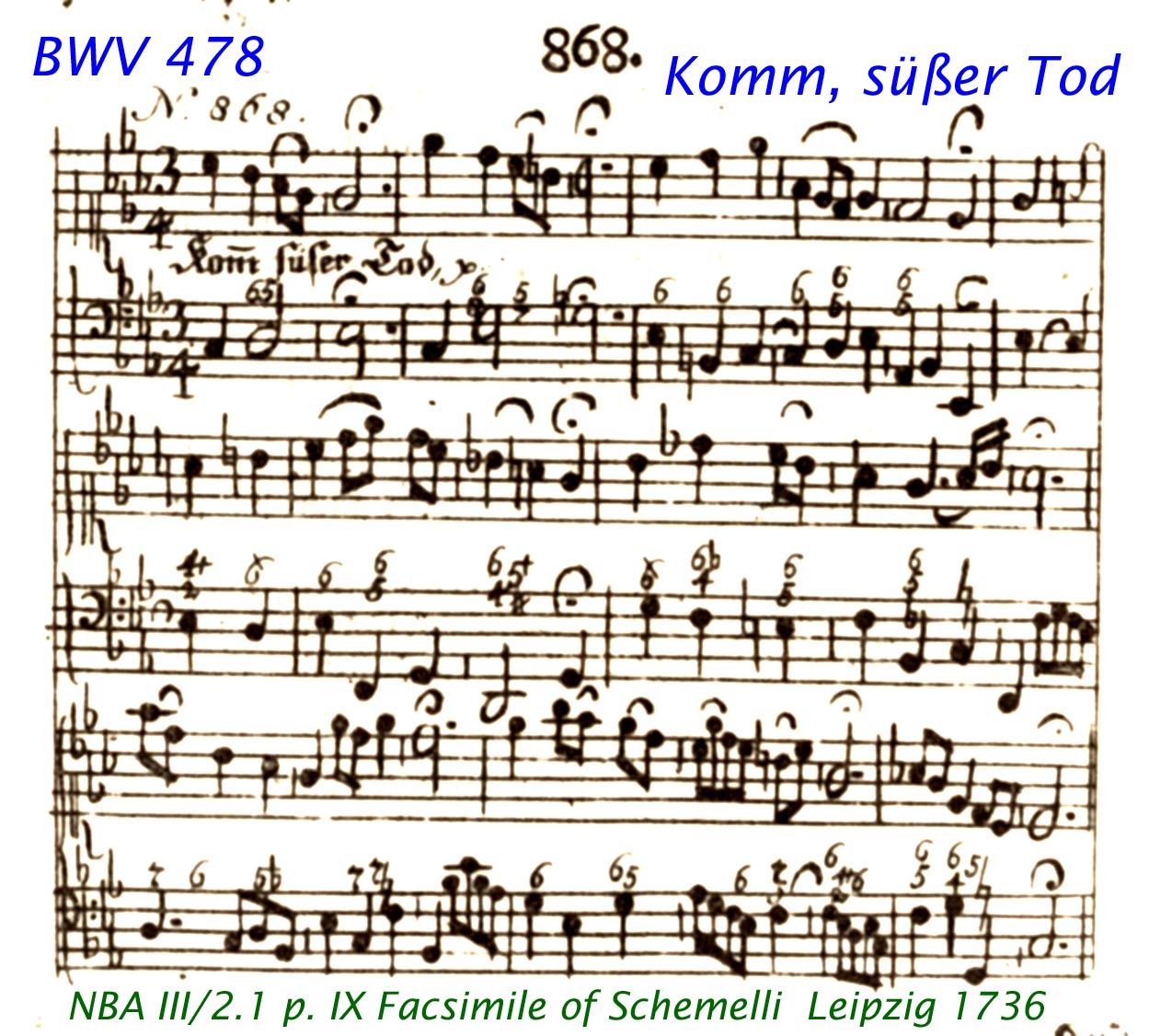 Name:  478.jpg
Views: 218
Size:  260.9 KB