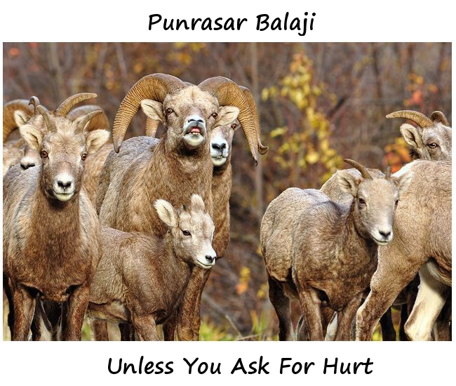 Name:  album art.JPG
Views: 565
Size:  242.0 KB