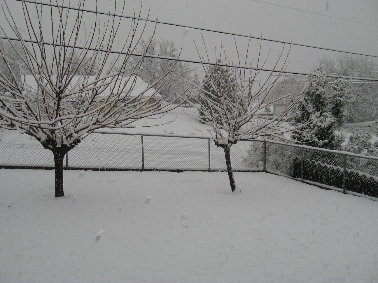 Name:  02-17-11 002.JPG
Views: 445
Size:  445.0 KB