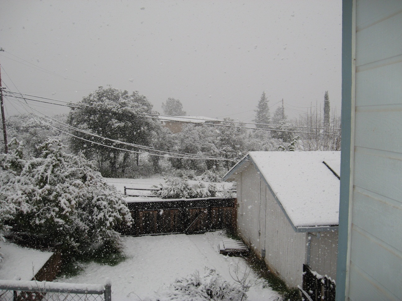 Name:  02-17-11 003.JPG
Views: 535
Size:  445.7 KB