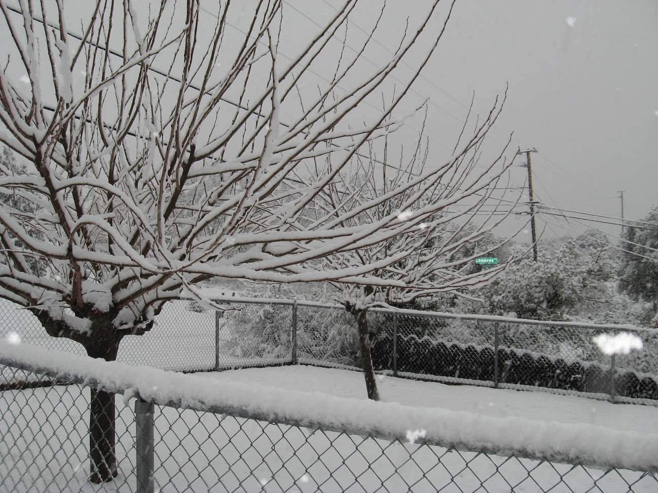 Name:  02-17-11 005.JPG
Views: 435
Size:  554.7 KB