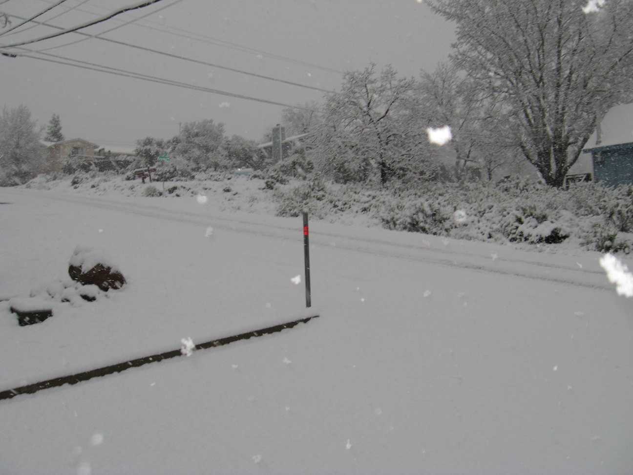 Name:  02-17-11 006.JPG
Views: 423
Size:  310.7 KB