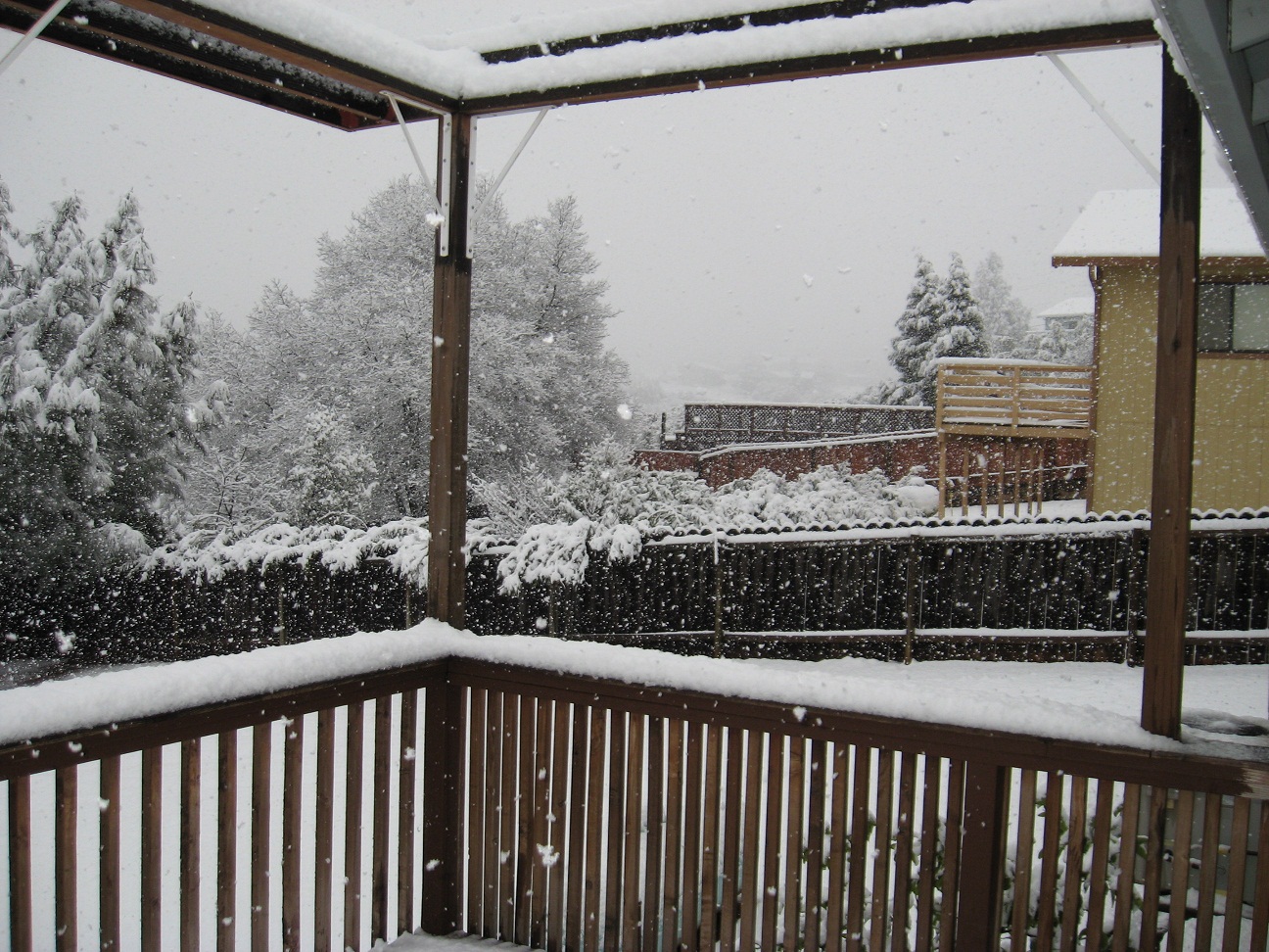 Name:  02-17-11 008.JPG
Views: 411
Size:  532.8 KB