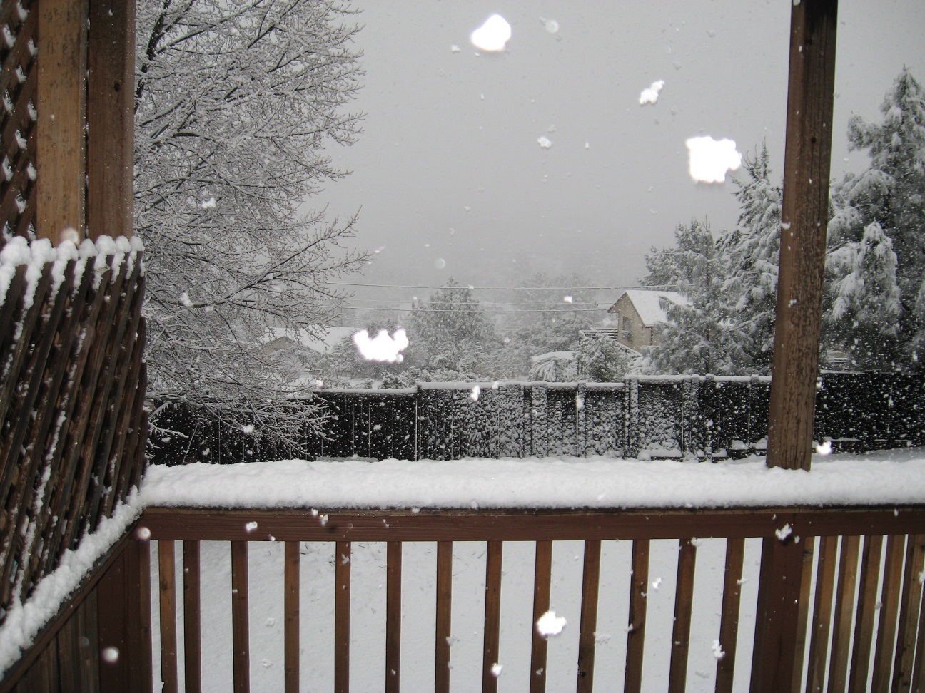 Name:  02-17-11 009.JPG
Views: 702
Size:  494.8 KB