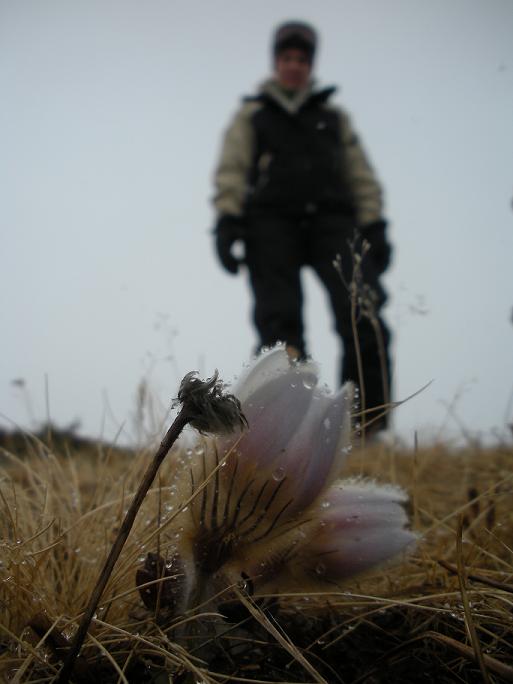 Name:  France 2009 291 sm.JPG
Views: 262
Size:  40.3 KB