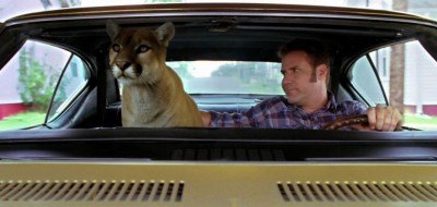 Name:  cougar.jpg
Views: 4016
Size:  23.8 KB