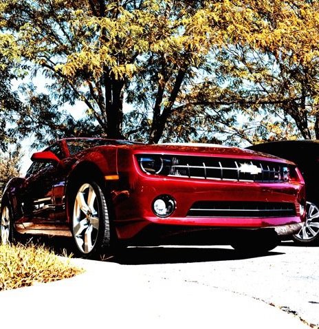 Name:  315503_772461928329_38801559_37521369_2141476050_n.jpg
Views: 833
Size:  87.8 KB