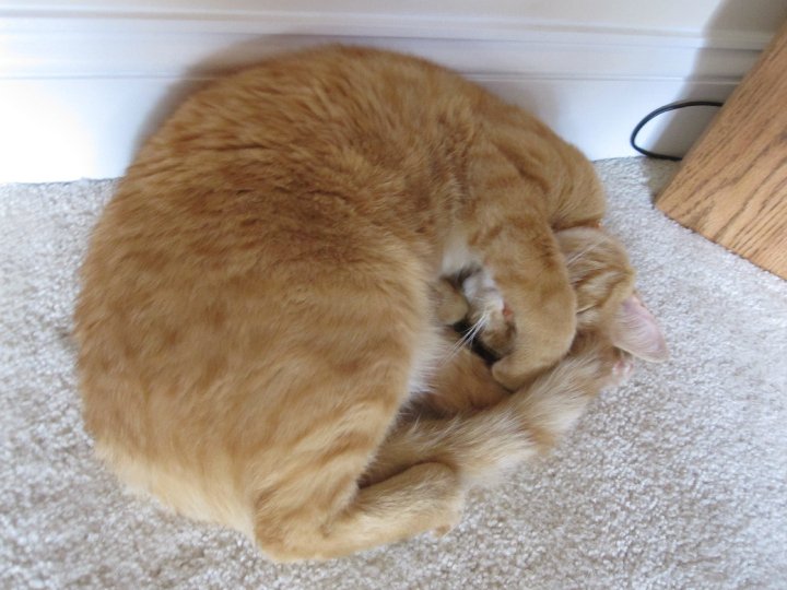 Name:  26955_598985361759_38801559_34856352_6743620_n.jpg
Views: 777
Size:  71.1 KB