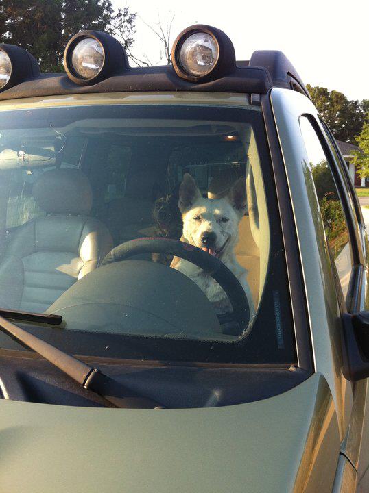 Name:  281898_219009431482463_100001202223780_673546_5073142_n[1].jpg
Views: 508
Size:  58.0 KB