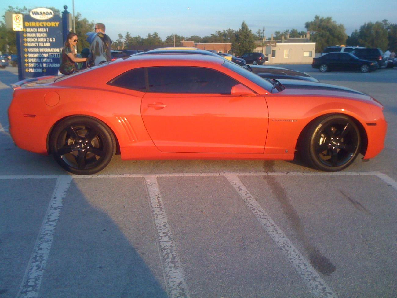 Name:  paige at wasaga 1.jpg
Views: 411
Size:  141.7 KB