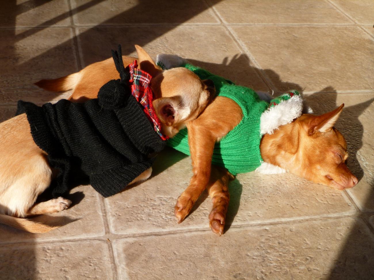 Name:  yuann4.jpg
Views: 964
Size:  174.1 KB