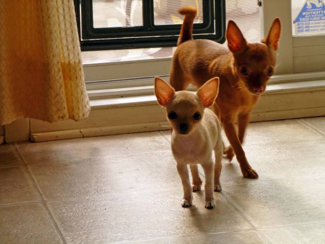 Name:  yuann et manga.jpg
Views: 969
Size:  36.5 KB